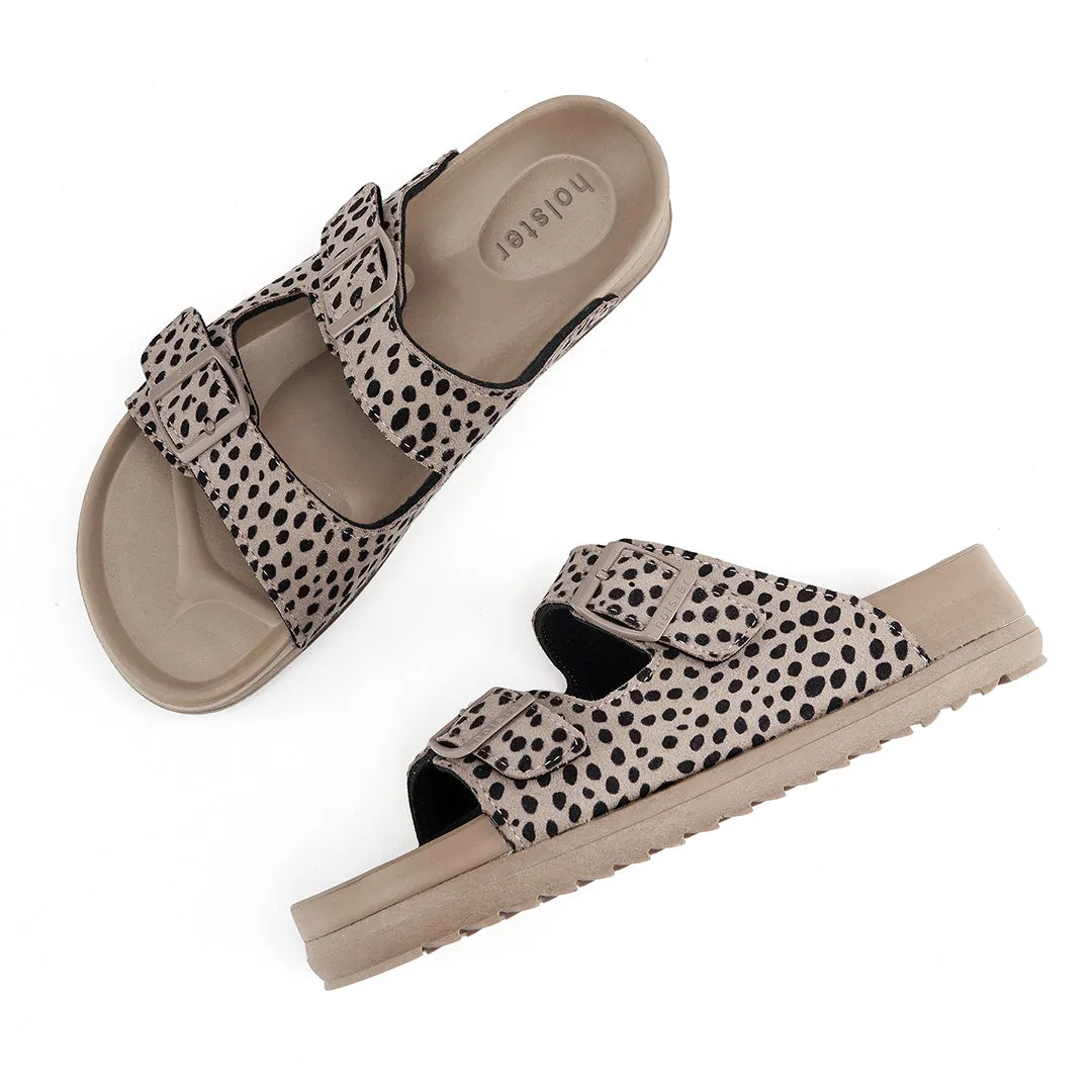 Stride - Cheetah